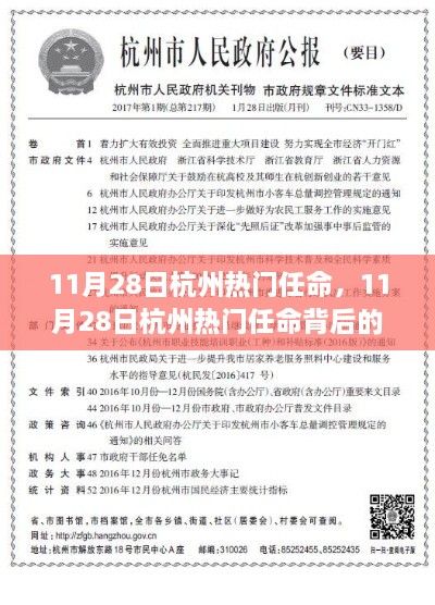 11月28日杭州熱門任命背后的深度探析與觀點探析