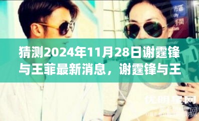 2024年11月28日謝霆鋒與王菲情感新篇章揭秘