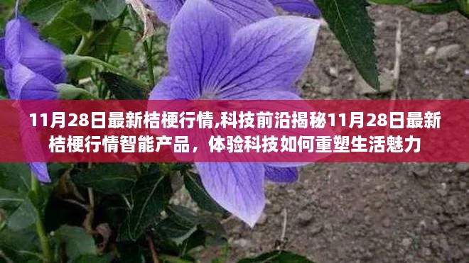 揭秘科技前沿，最新桔梗行情智能產(chǎn)品重塑生活魅力體驗(yàn)報(bào)告