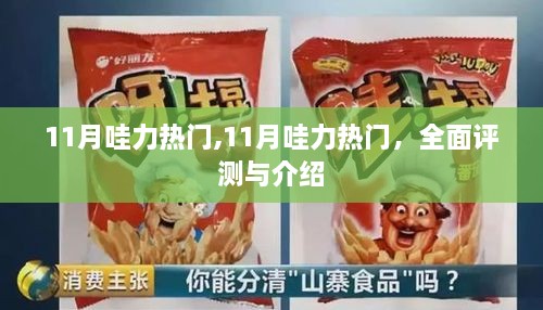 全面評(píng)測(cè)與介紹，11月哇力熱門