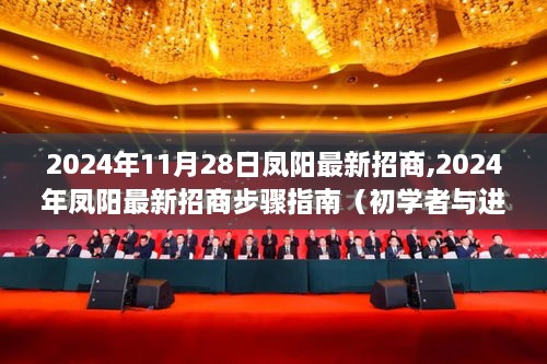 2024年鳳陽(yáng)最新招商步驟指南，從初學(xué)者到進(jìn)階用戶的全方位指南