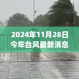 臺風影響下的獨特小店之旅，探秘隱藏美味與小巷風情
