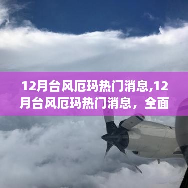 全面解讀12月臺風厄瑪，特性、體驗、競品對比及用戶群體分析