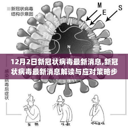 初學(xué)者版新冠病毒應(yīng)對(duì)策略指南，最新消息解讀與步驟（12月2日更新）