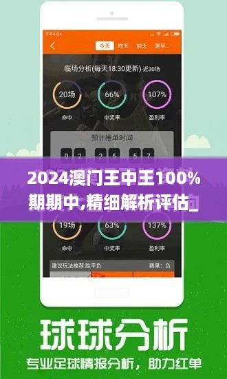 2024澳門王中王100%期期中,精細解析評估_10DM14.193