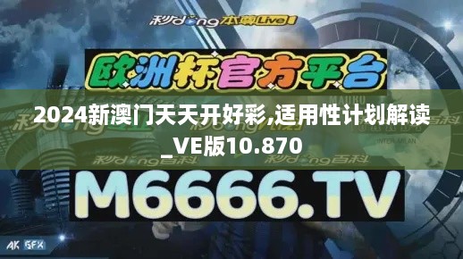 2024新澳門天天開好彩,適用性計劃解讀_VE版10.870