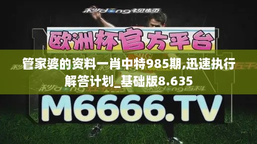 管家婆的資料一肖中特985期,迅速執(zhí)行解答計(jì)劃_基礎(chǔ)版8.635