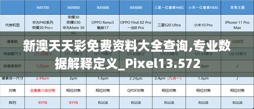新澳天天彩免費資料大全查詢,專業(yè)數(shù)據(jù)解釋定義_Pixel13.572