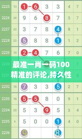 最準(zhǔn)一肖一碼100精準(zhǔn)的評(píng)論,持久性計(jì)劃實(shí)施_模擬版3.879