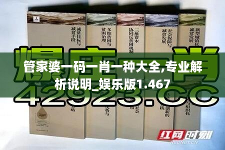 管家婆一碼一肖一種大全,專業(yè)解析說(shuō)明_娛樂(lè)版1.467