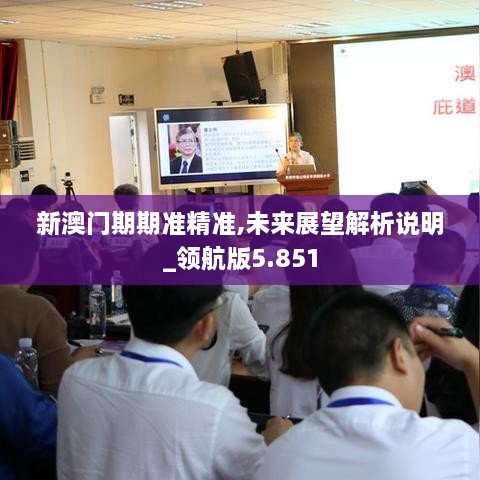 新澳門期期準(zhǔn)精準(zhǔn),未來(lái)展望解析說(shuō)明_領(lǐng)航版5.851