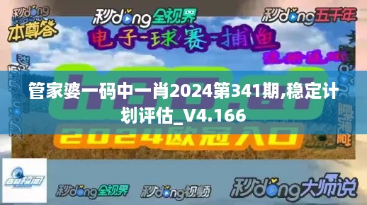 管家婆一碼中一肖2024第341期,穩(wěn)定計劃評估_V4.166