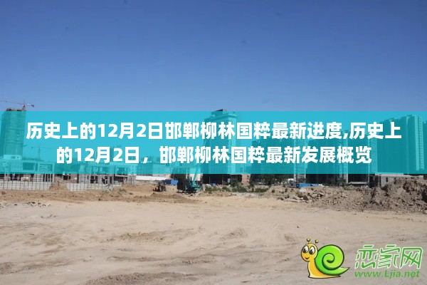 邯鄲柳林國粹最新發(fā)展進度概覽，12月2日的歷史性更新