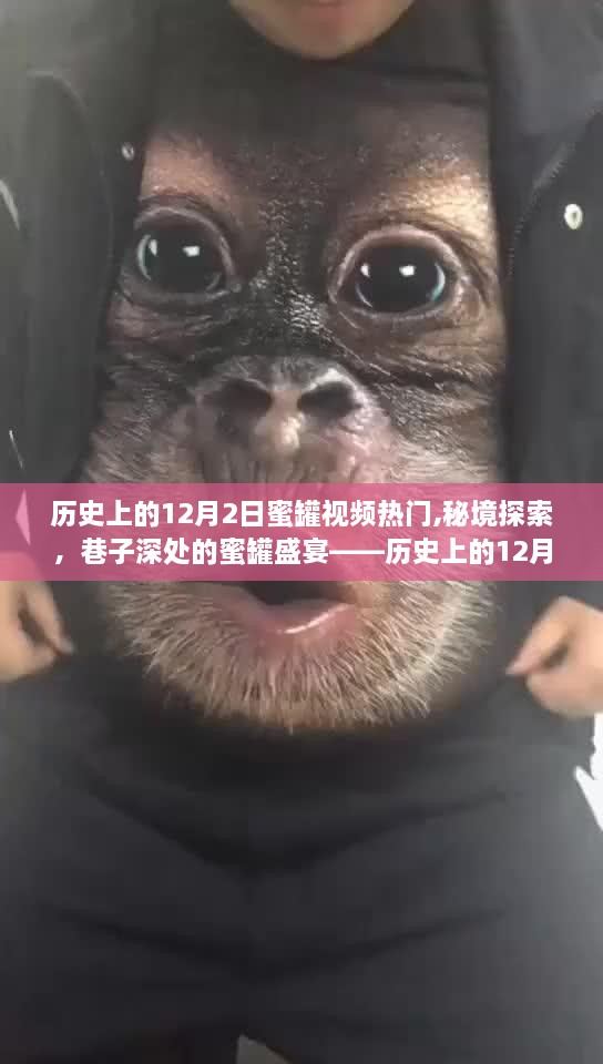 歷史上的12月2日蜜罐視頻熱門(mén)揭秘，秘境探索與巷子深處的盛宴
