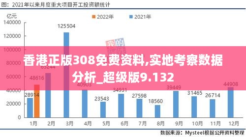 香港正版308免費資料,實地考察數(shù)據(jù)分析_超級版9.132