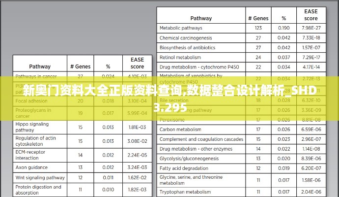 新奧門(mén)資料大全正版資料查詢,數(shù)據(jù)整合設(shè)計(jì)解析_SHD3.295
