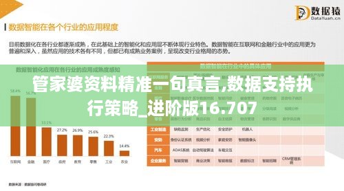 管家婆資料精準(zhǔn)一句真言,數(shù)據(jù)支持執(zhí)行策略_進(jìn)階版16.707