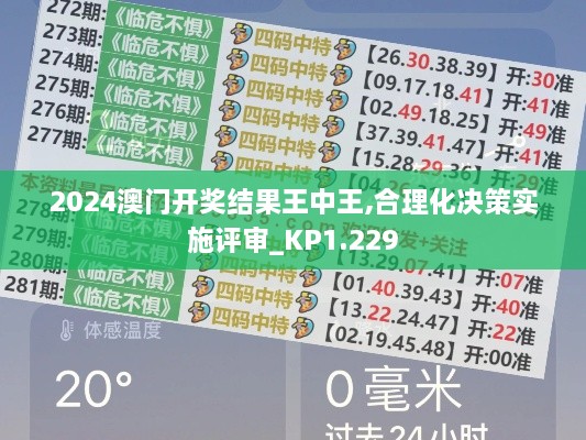 2024澳門開獎結(jié)果王中王,合理化決策實施評審_KP1.229