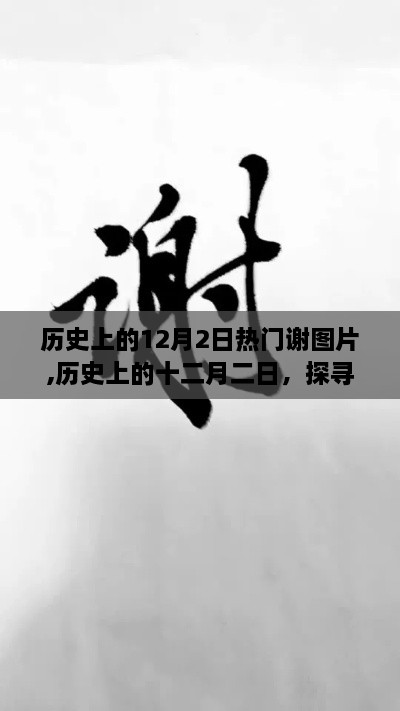 探尋自然美景，歷史上的十二月二日熱門謝圖片之旅，尋找內(nèi)心的寧?kù)o之旅