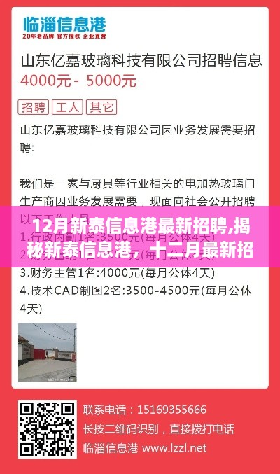 揭秘新泰信息港，十二月最新招聘熱點(diǎn)與趨勢(shì)分析