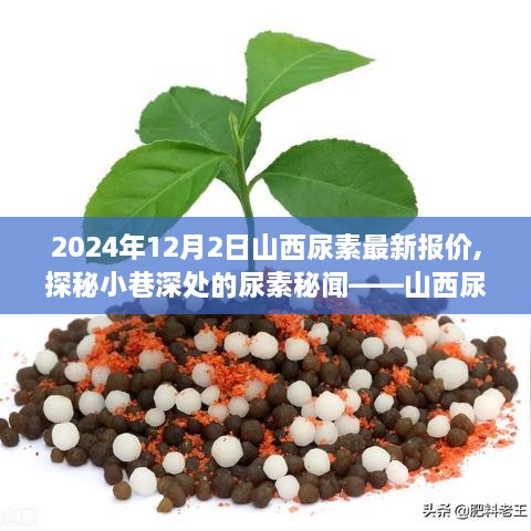 山西尿素最新報價揭秘，特色小店背后的故事與小巷深處的秘聞之旅