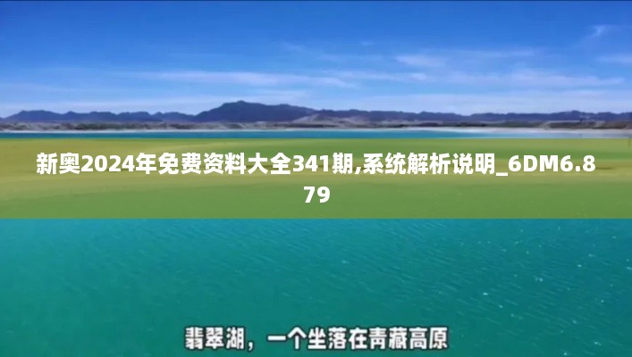 新奧2024年免費(fèi)資料大全341期,系統(tǒng)解析說明_6DM6.879