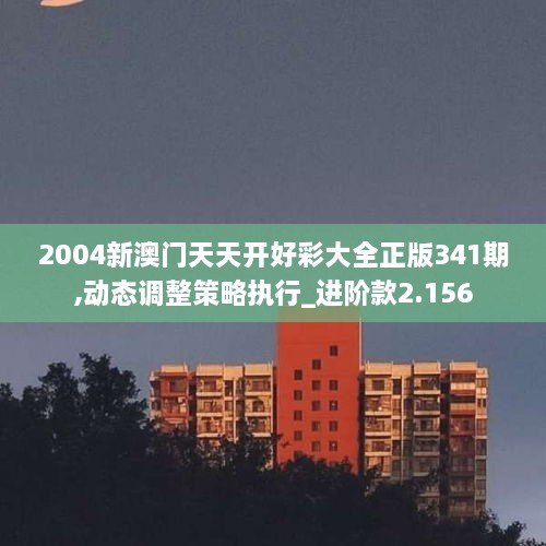 2004新澳門天天開好彩大全正版341期,動態(tài)調整策略執(zhí)行_進階款2.156