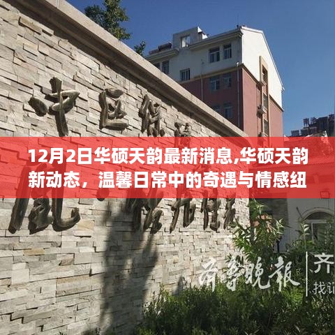 華碩天韻最新動態(tài)，日常奇遇與情感紐帶的溫馨連結