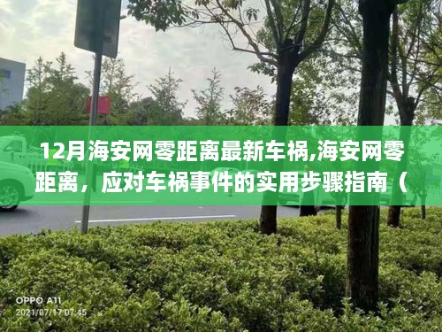 12月海安網(wǎng)零距離車禍事件應對指南，實用步驟助力初學者與進階用戶