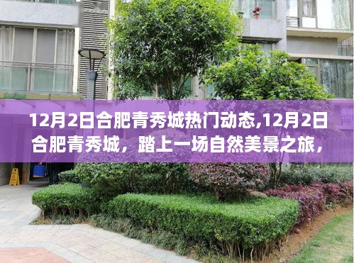 合肥青秀城12月2日動態(tài)，自然美景之旅探尋內(nèi)心寧靜的力量