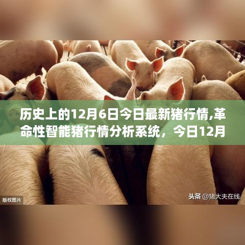 12月6日豬市新紀(jì)元，智能行情分析系統(tǒng)與革命性體驗(yàn)報(bào)告