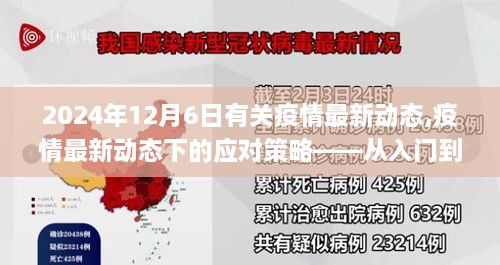 疫情最新動(dòng)態(tài)下的應(yīng)對策略，全面指南（從入門到進(jìn)階）