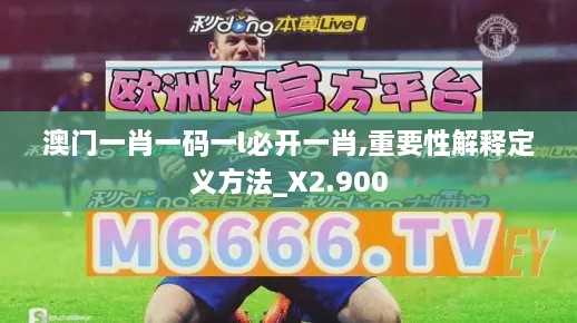 澳門一肖一碼一l必開一肖,重要性解釋定義方法_X2.900