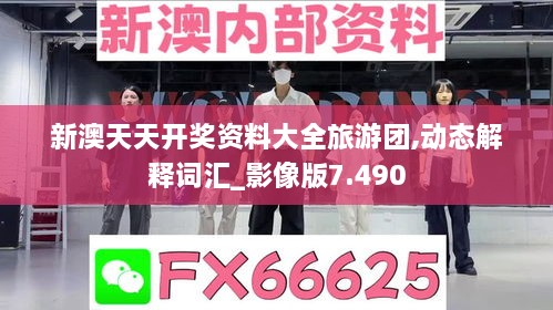 新澳天天開獎資料大全旅游團(tuán),動態(tài)解釋詞匯_影像版7.490