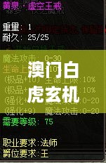 澳門白虎玄機(jī)精準(zhǔn)玄武,預(yù)測分析解釋定義_安卓版4.321