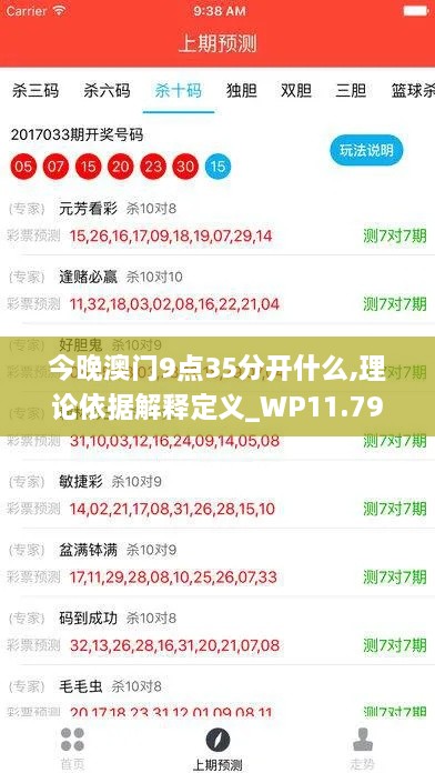 今晚澳門9點(diǎn)35分開什么,理論依據(jù)解釋定義_WP11.798