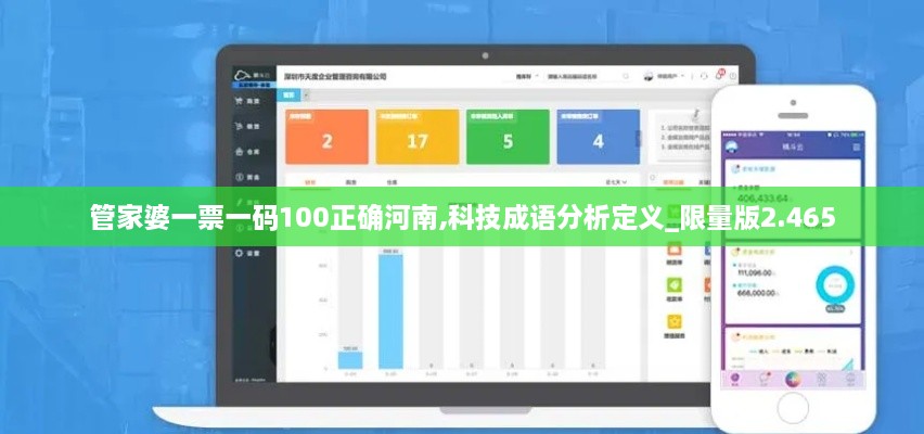 管家婆一票一碼100正確河南,科技成語分析定義_限量版2.465