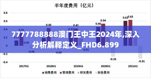 7777788888澳門(mén)王中王2024年,深入分析解釋定義_FHD6.899