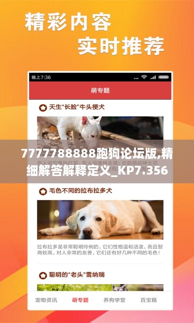 7777788888跑狗論壇版,精細(xì)解答解釋定義_KP7.356