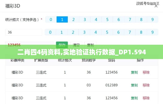 二肖四4碼資料,實地驗證執(zhí)行數據_DP1.594
