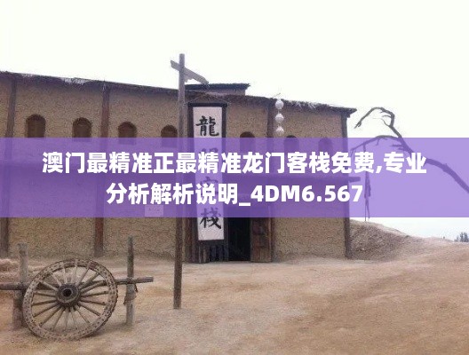 澳門最精準正最精準龍門客棧免費,專業(yè)分析解析說明_4DM6.567