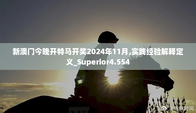 新澳門今晚開特馬開獎(jiǎng)2024年11月,實(shí)踐經(jīng)驗(yàn)解釋定義_Superior4.554