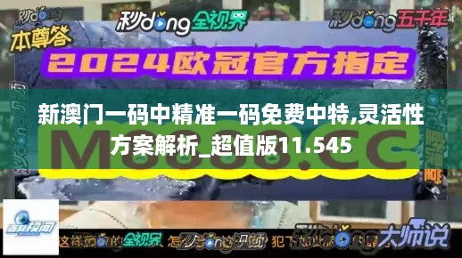 新澳門一碼中精準(zhǔn)一碼免費(fèi)中特,靈活性方案解析_超值版11.545