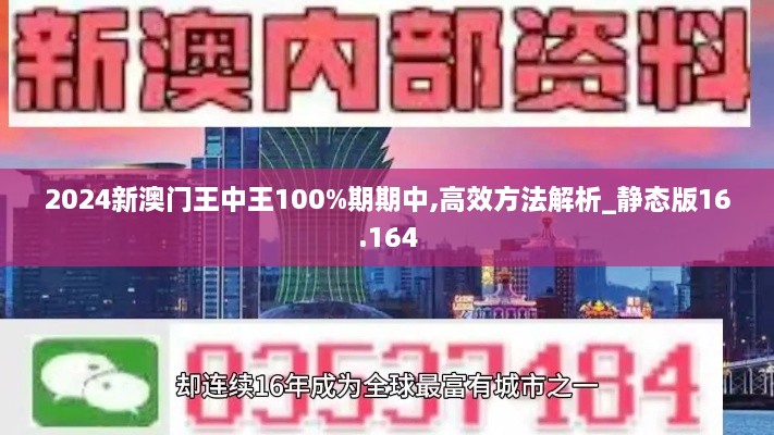 2024新澳門王中王100%期期中,高效方法解析_靜態(tài)版16.164