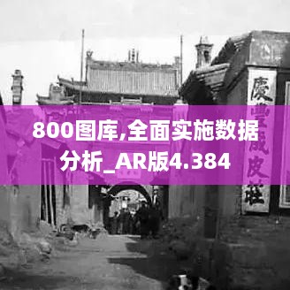 800圖庫,全面實(shí)施數(shù)據(jù)分析_AR版4.384