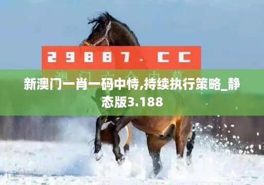 新澳門一肖一碼中恃,持續(xù)執(zhí)行策略_靜態(tài)版3.188