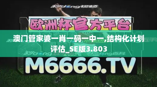 澳門管家婆一肖一碼一中一,結(jié)構(gòu)化計(jì)劃評估_SE版3.803