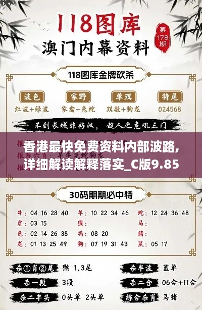 香港最快免費(fèi)資料內(nèi)部波路,詳細(xì)解讀解釋落實(shí)_C版9.852