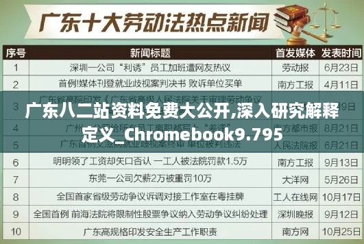 廣東八二站資料免費(fèi)大公開(kāi),深入研究解釋定義_Chromebook9.795
