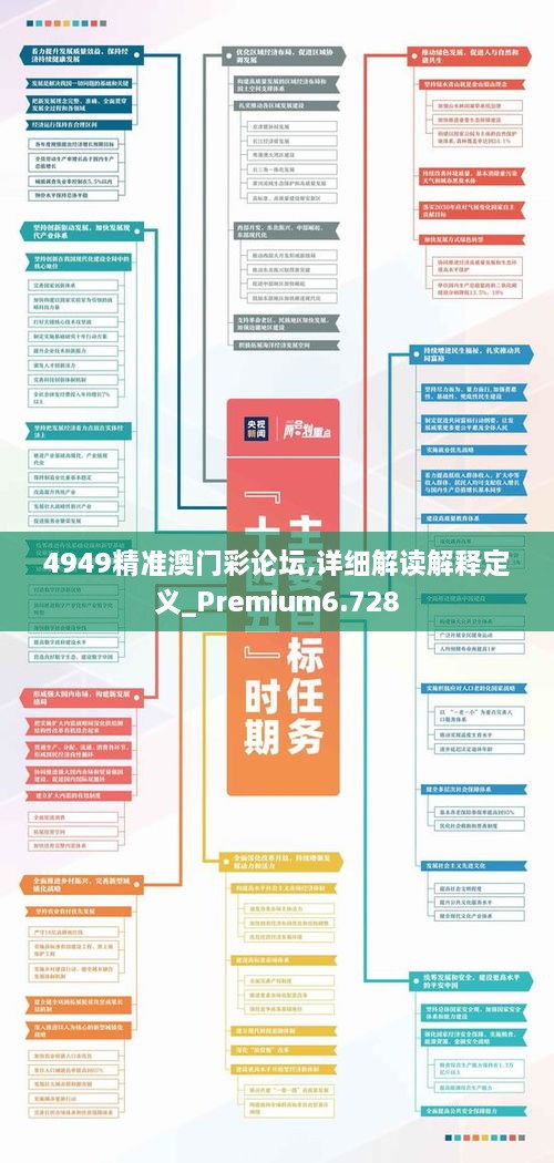4949精準(zhǔn)澳門彩論壇,詳細(xì)解讀解釋定義_Premium6.728